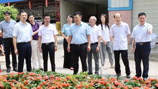 自治區政協(xié)常委、梧州市政協(xié)主席黃振饒蒞臨百裕集團走訪(fǎng)調研